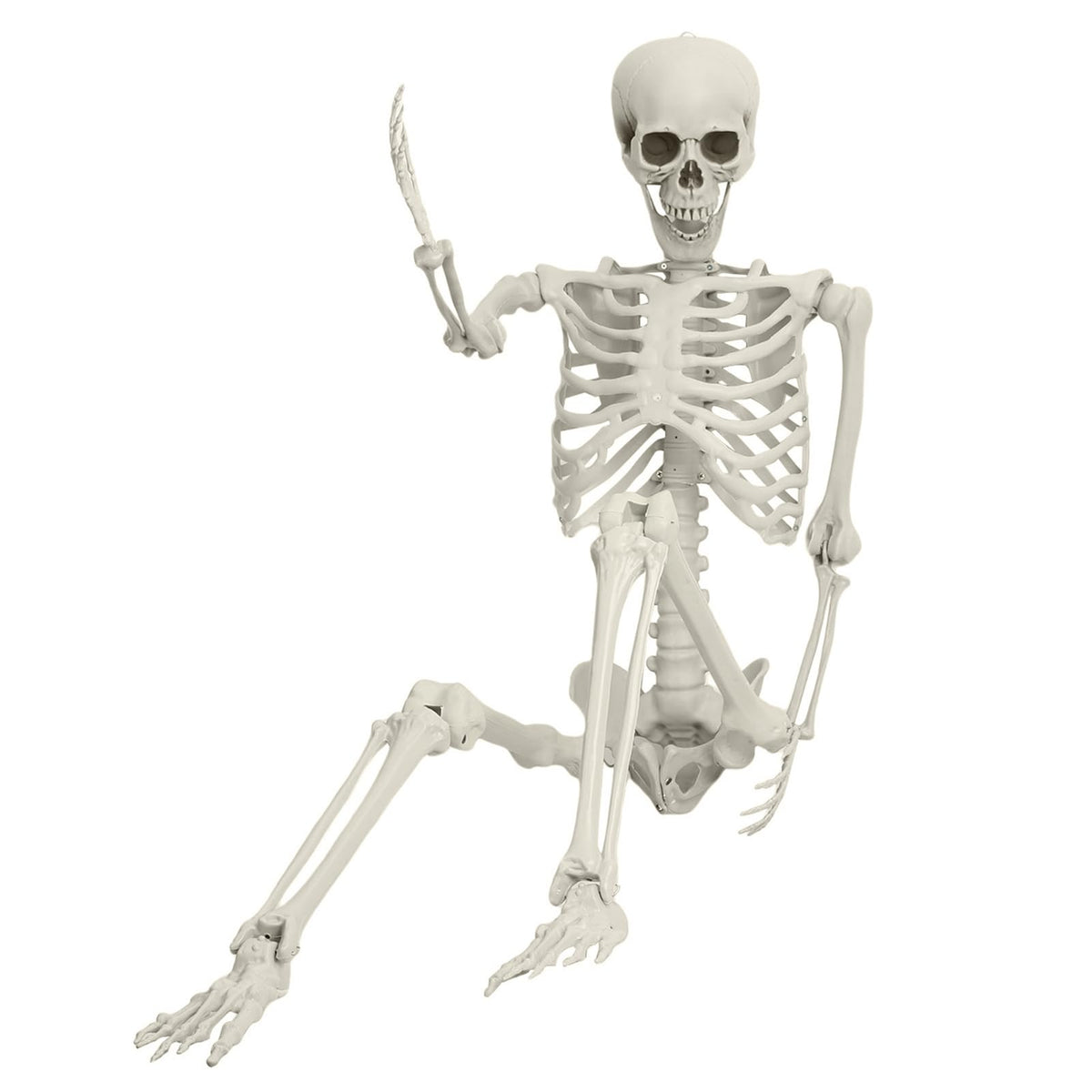 Full Size Movable Posable Skeleton J483