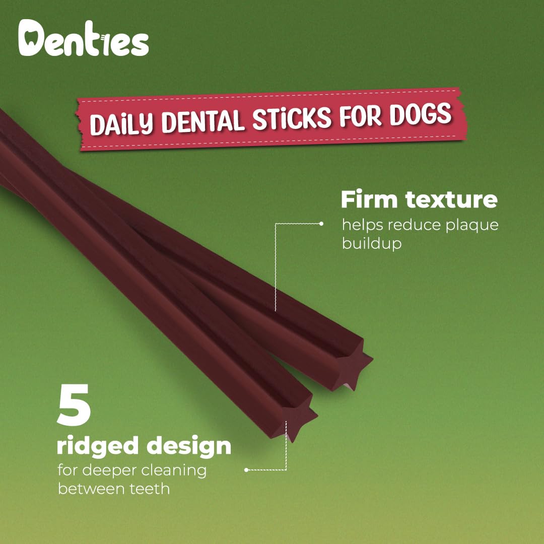 Dental Chews for Small Dogs 16 oz 35 Treats P43400