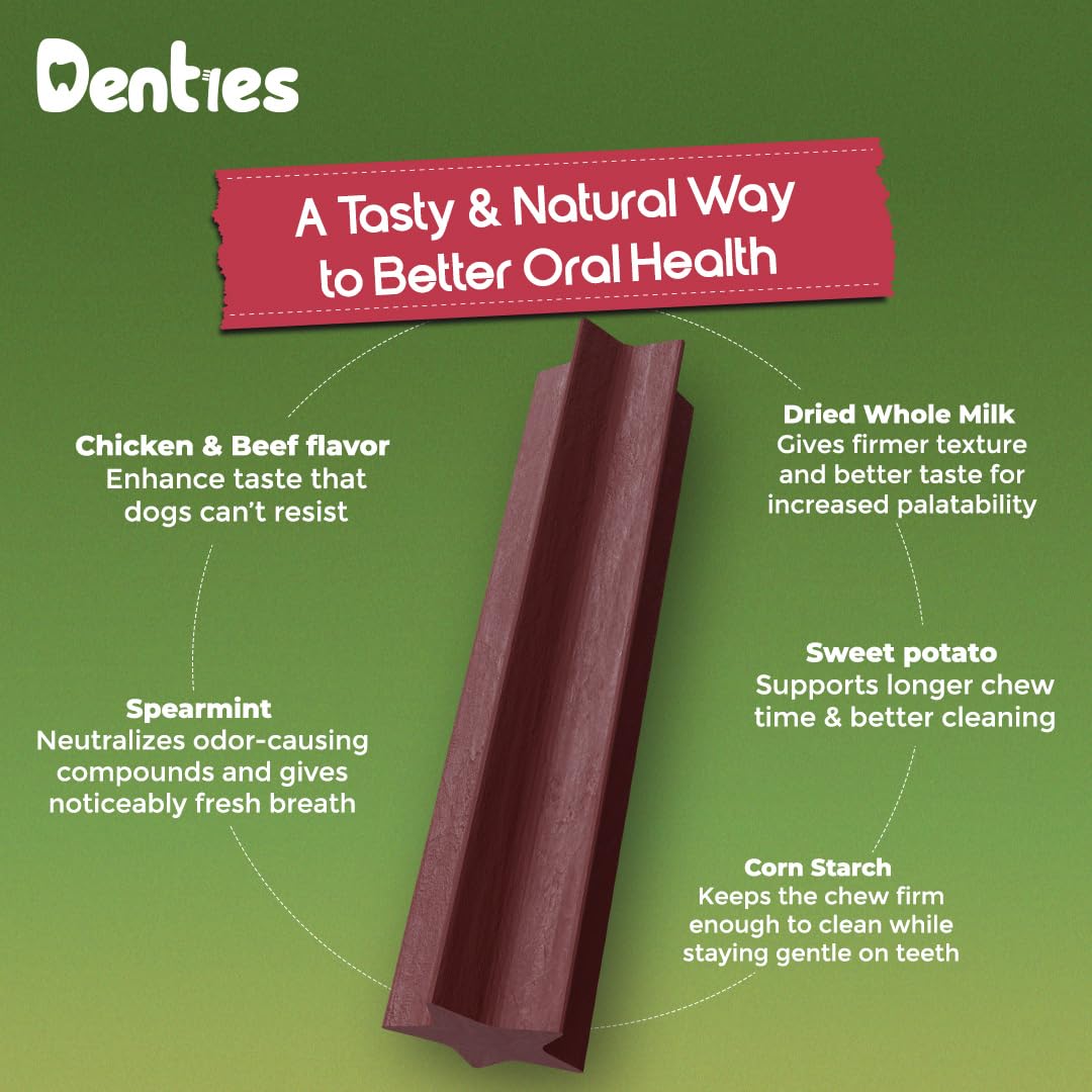 Dental Chews for Small Dogs 16 oz 35 Treats P43400