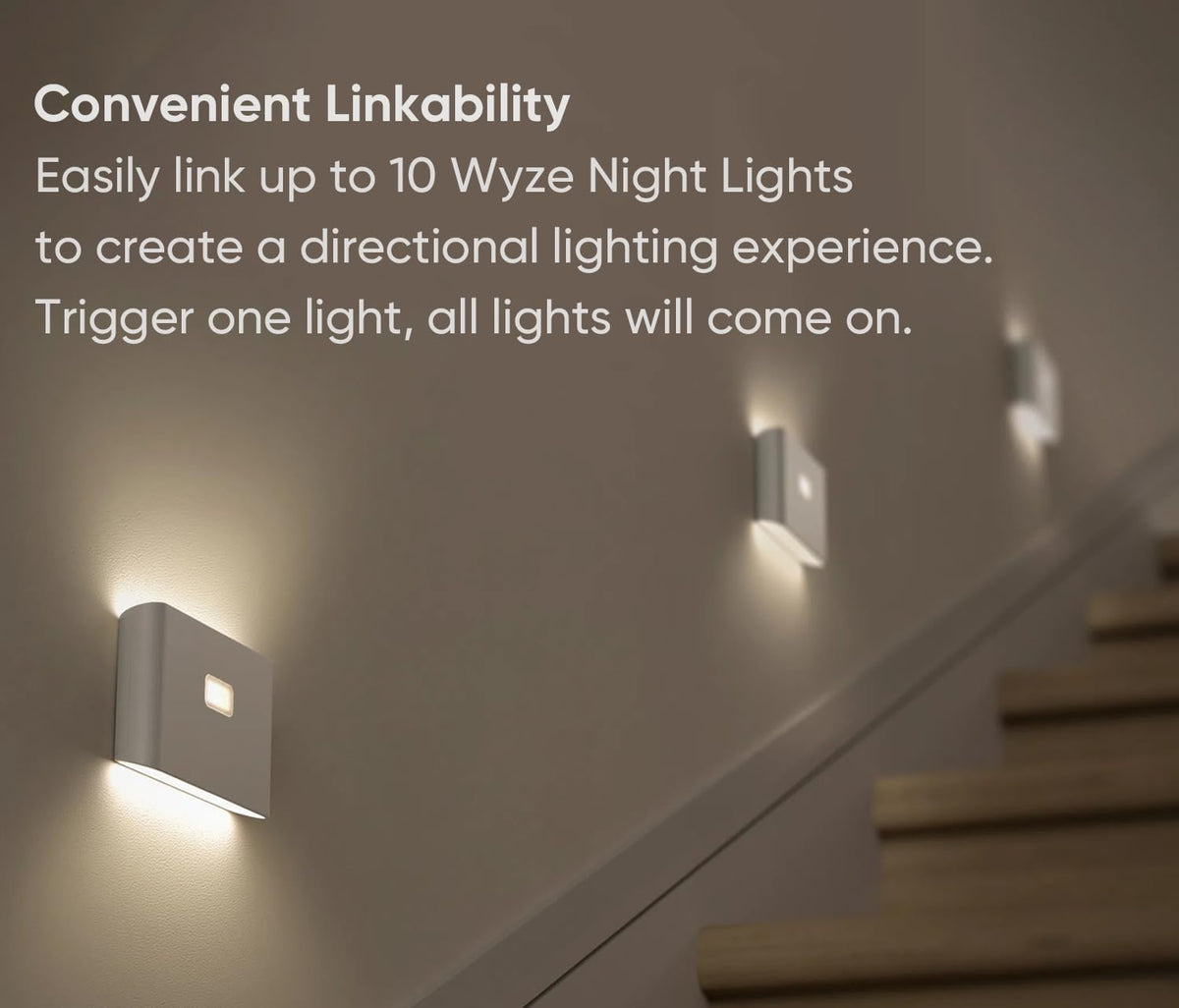 Smart Scale & Night Lights 3 Pack F392