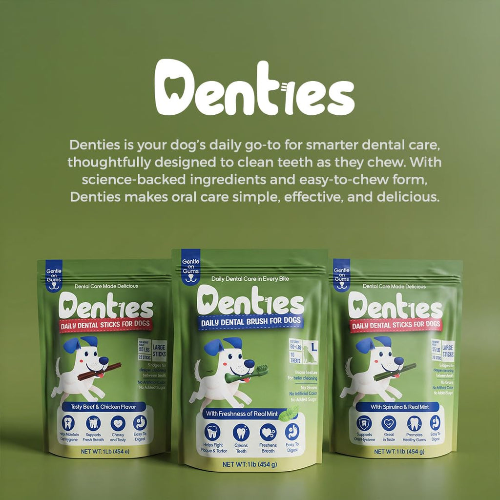 Dental Chews for Small Dogs 16 oz 35 Treats P43400