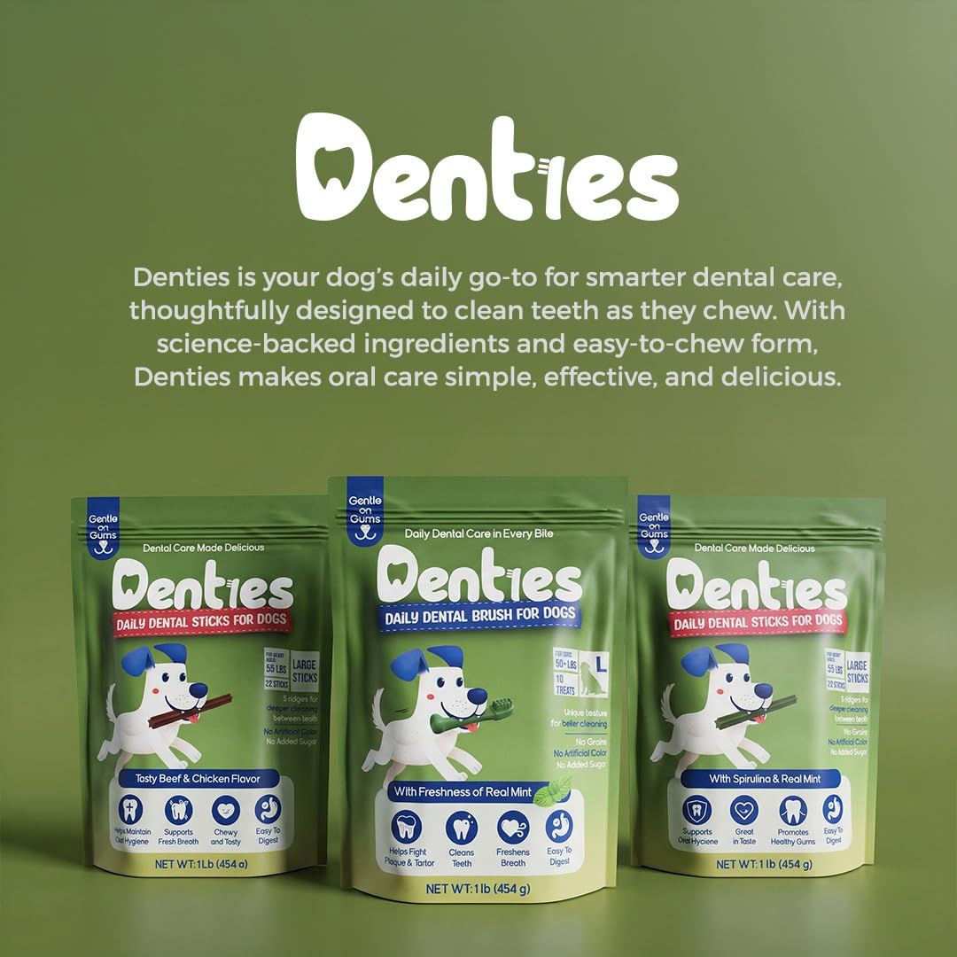 Dental Chews for Small Dogs 16 oz 35 Treats P43400