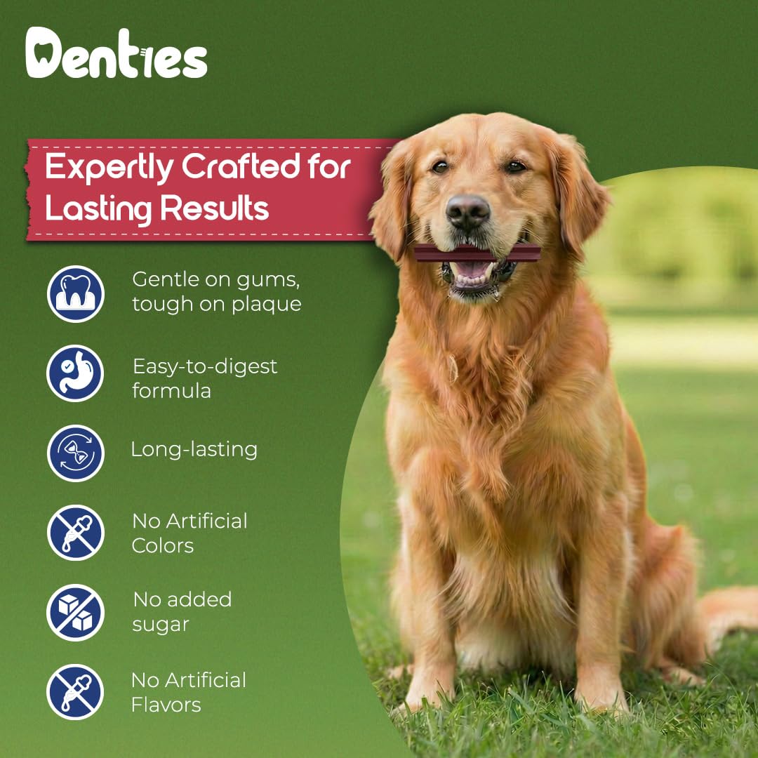Dental Chews for Small Dogs 16 oz 35 Treats P43400