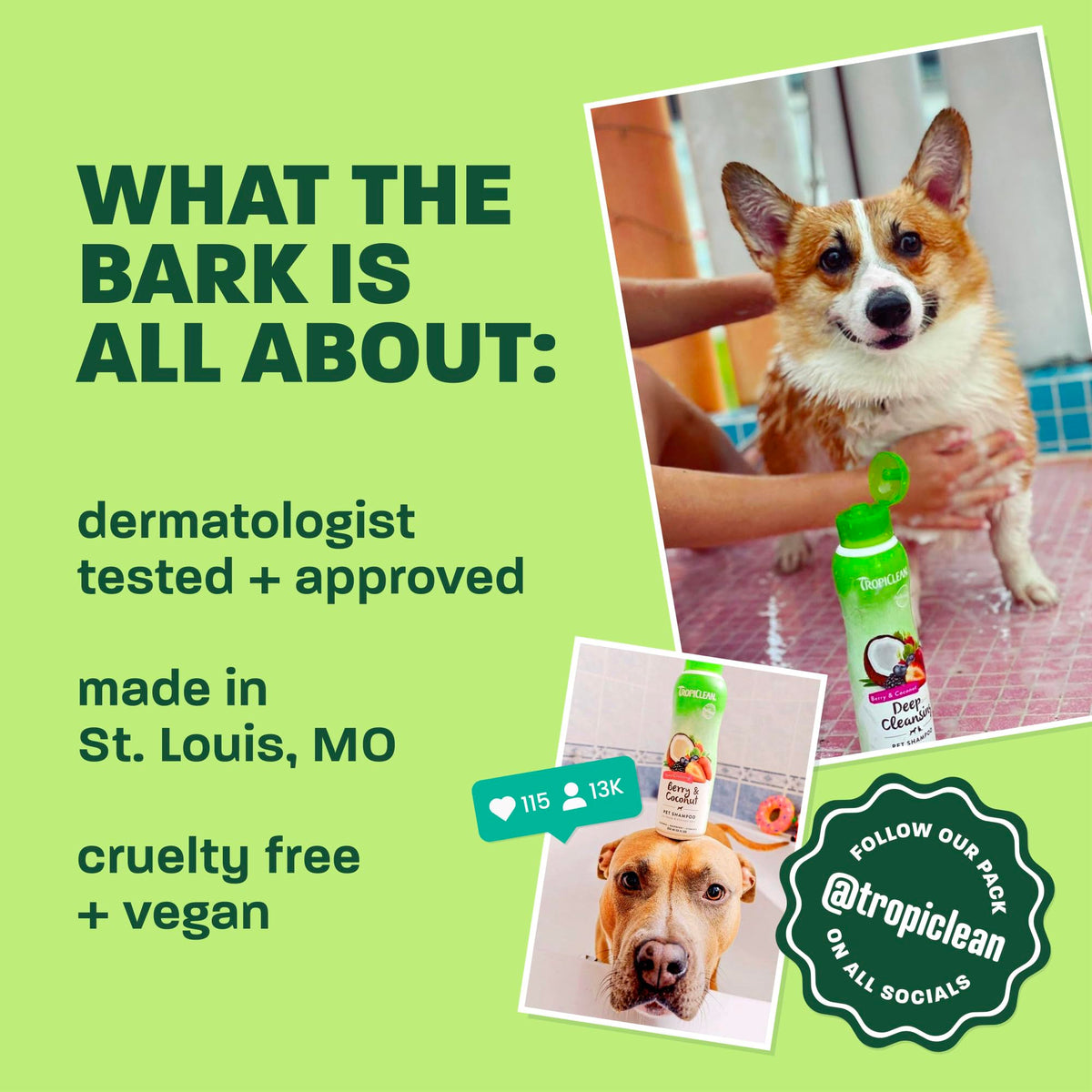 Oatmeal Dog Shampoo 20oz B20867