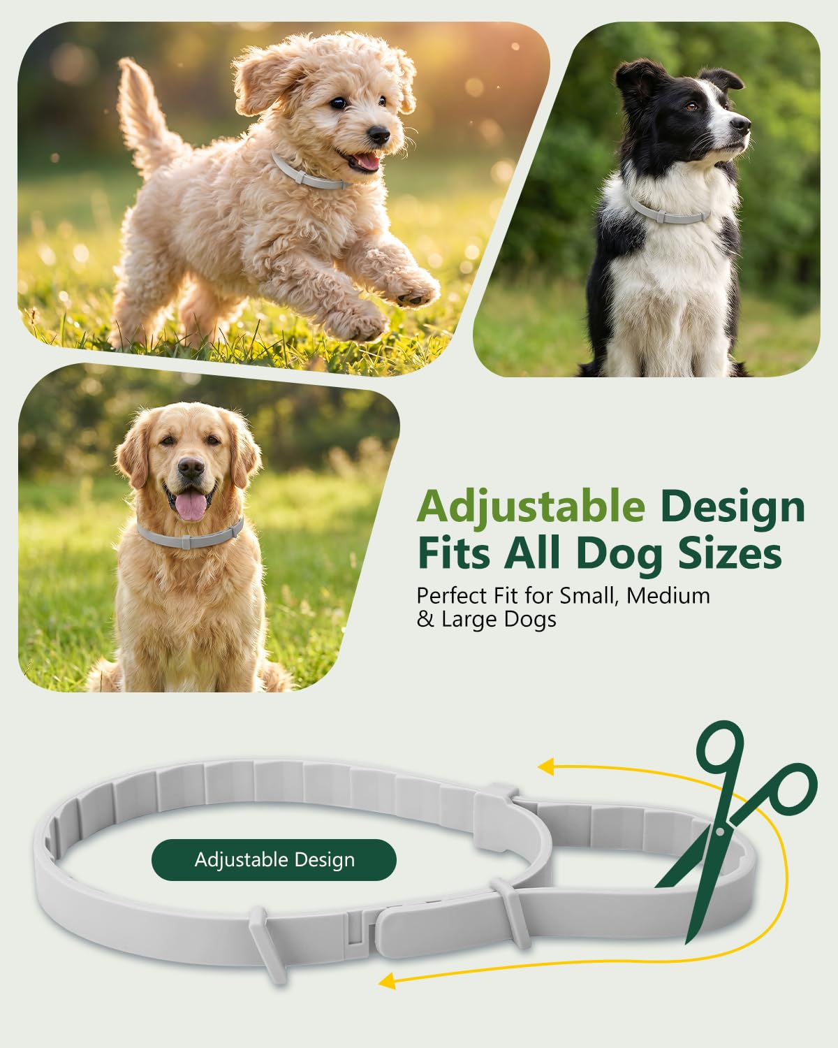 4 Pack Adjustable Waterproof Flea & Tick Dog Collar Z724165