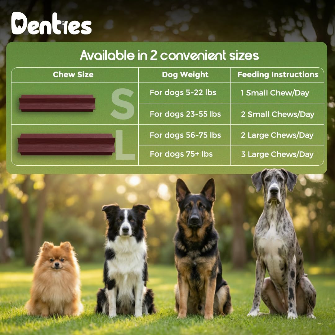Dental Chews for Small Dogs 16 oz 35 Treats P43400