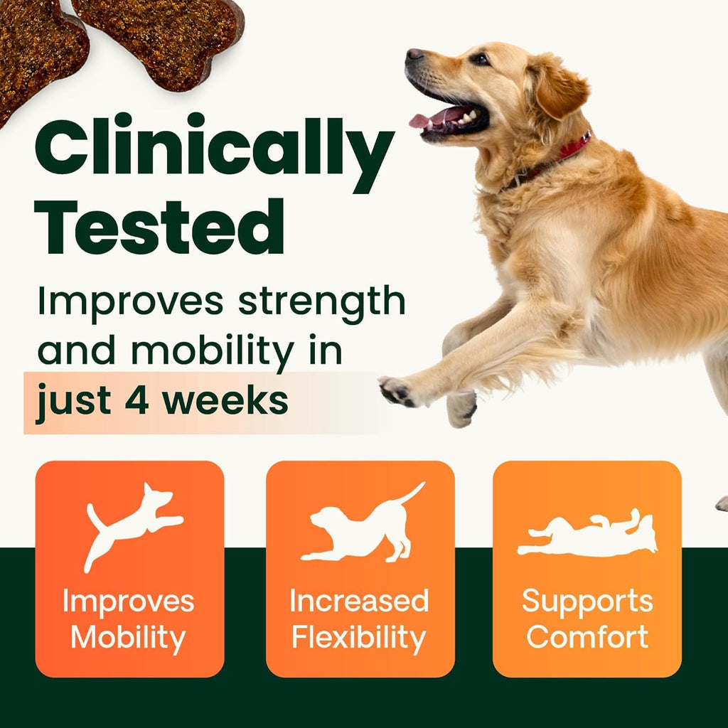 Chicken Hip & Joint Tablets for Dogs, 120 Count U576046