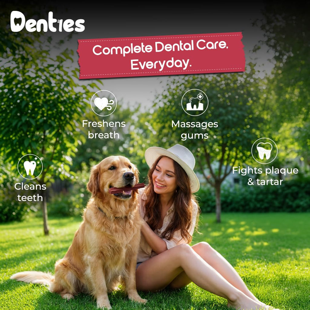 Dental Chews for Small Dogs 16 oz 35 Treats P43400