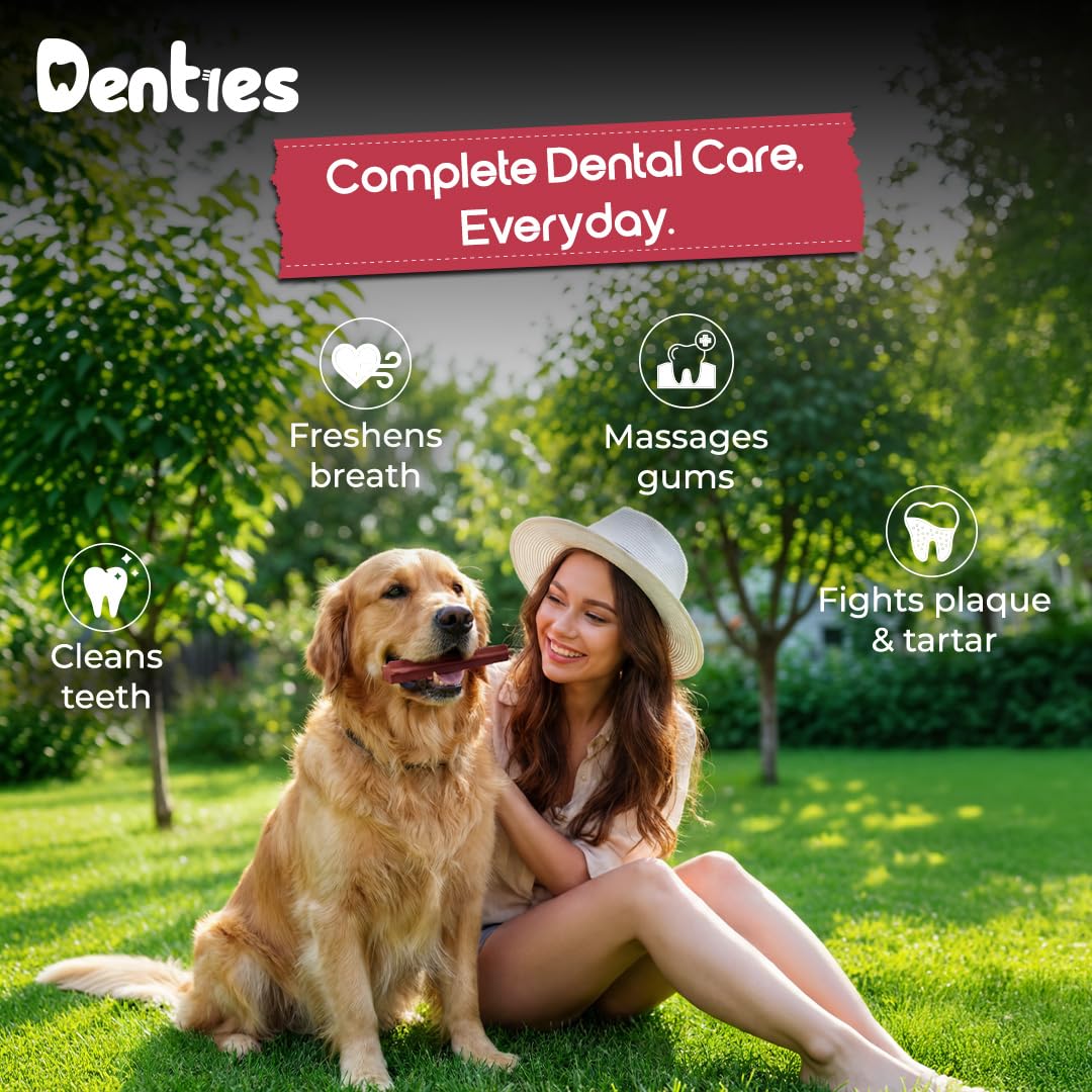 Dental Chews for Small Dogs 16 oz 35 Treats P43400