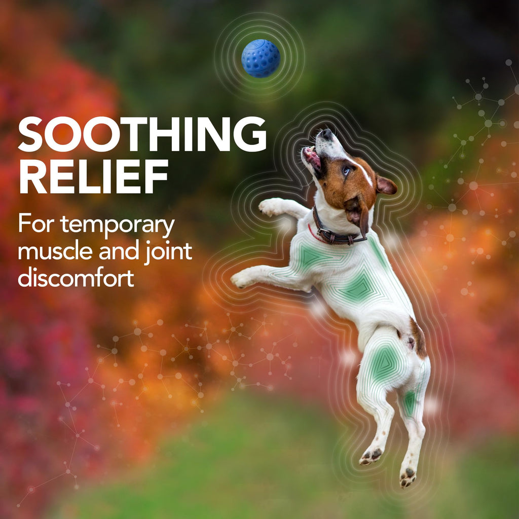 Dog Hip & Joint Support Tablets 150 Count Pack of 2 I410877