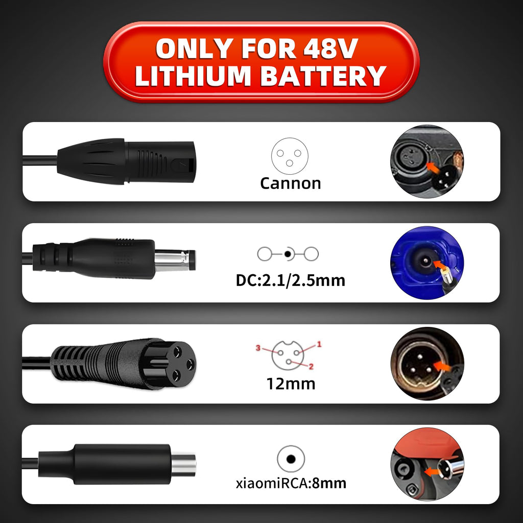 54.6V 2A Electric Bike Charger O9201