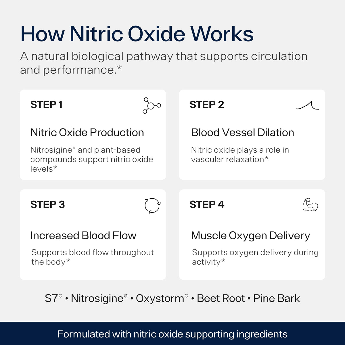 Nitric Oxide Supplement S397