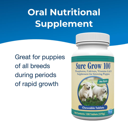 100 Chewable Tablets with Calcium, Phosphorus, and Vitamins A & D L251