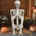 5.4FT Posable Skeleton with Movable Joints G552817