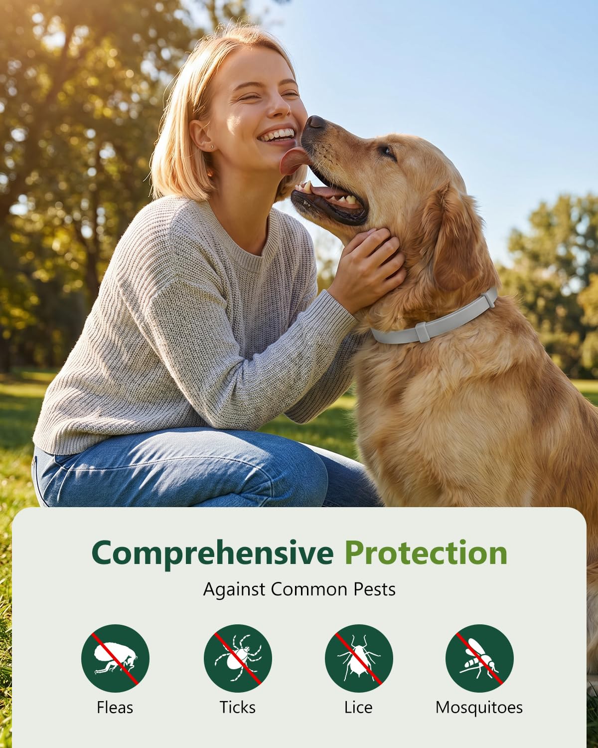 4 Pack Adjustable Waterproof Flea & Tick Dog Collar Z724165