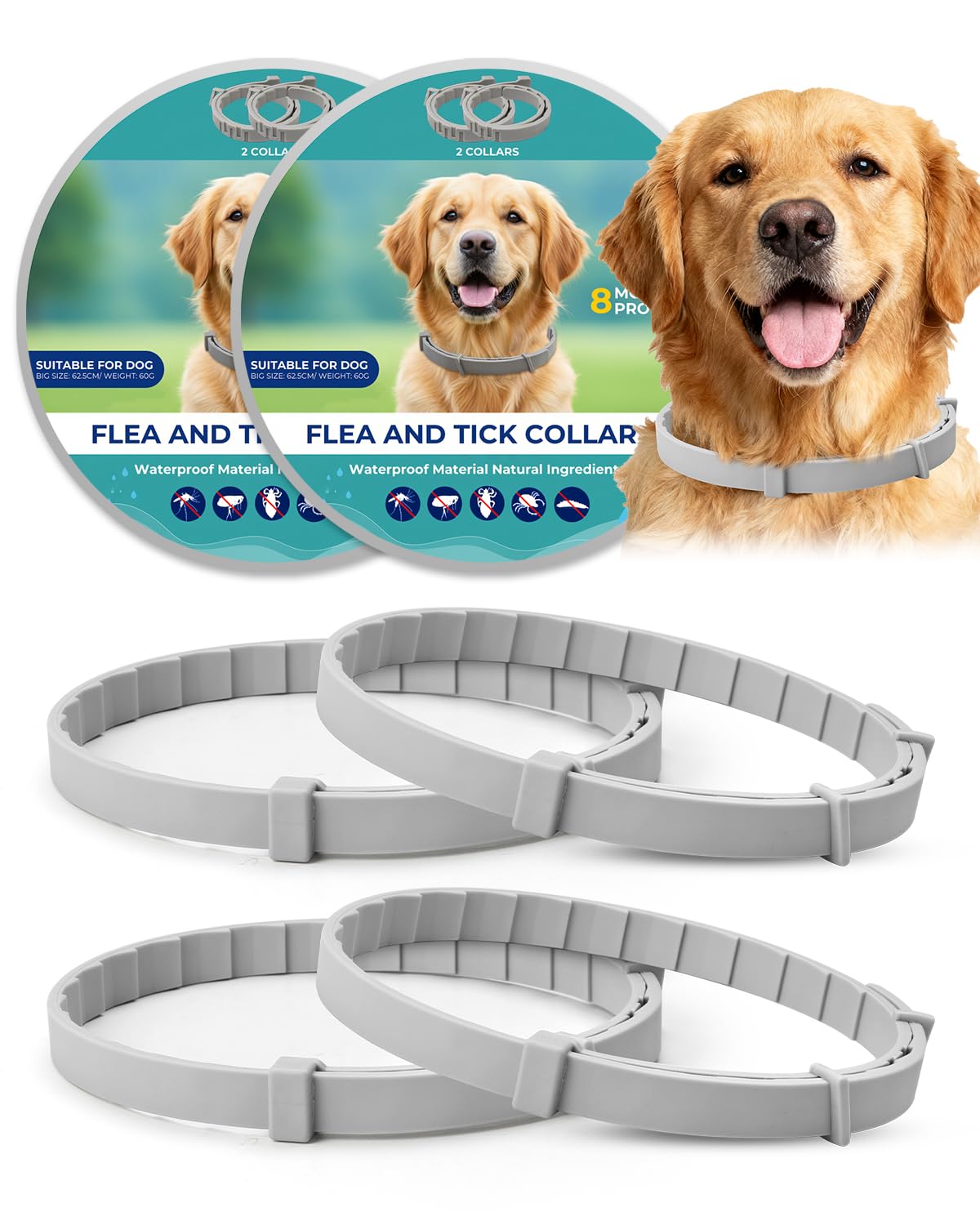 4 Pack Adjustable Waterproof Flea & Tick Dog Collar Z724165
