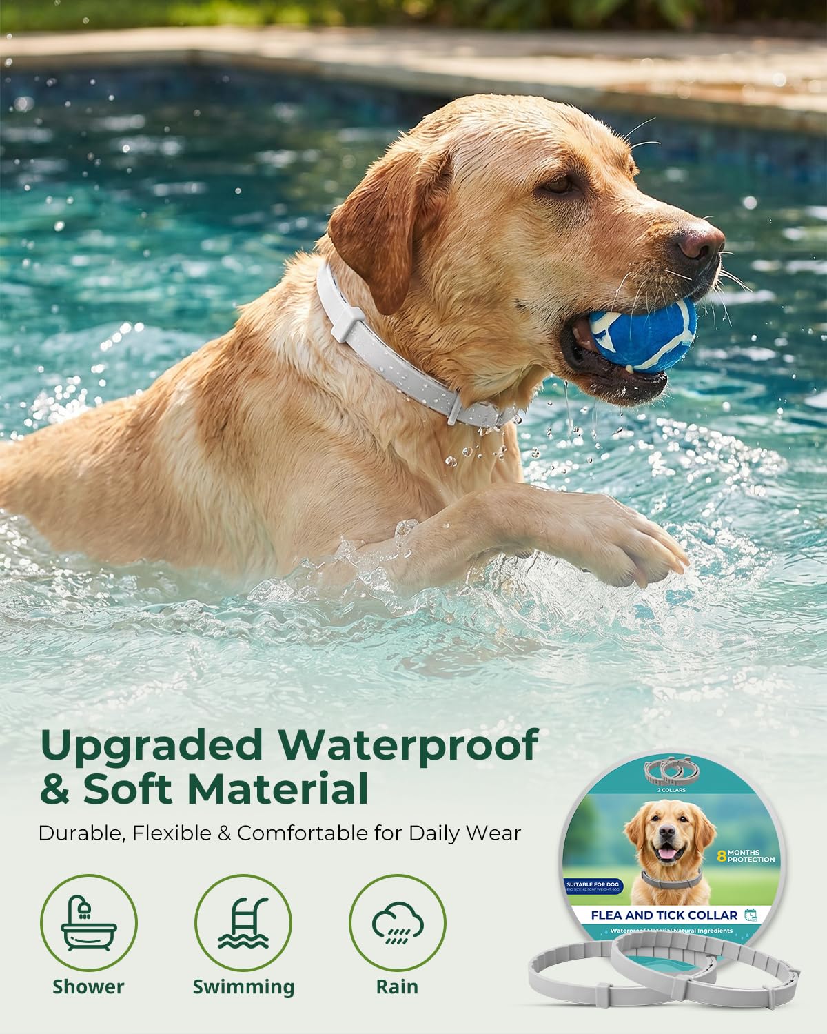 4 Pack Adjustable Waterproof Flea & Tick Dog Collar Z724165