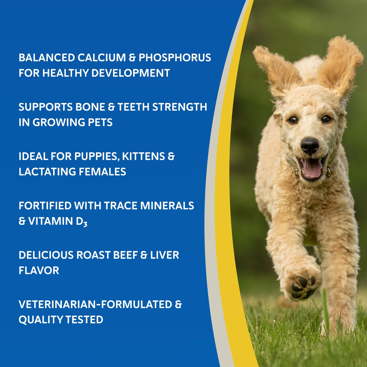 Calcium & Phosphorus Chews for Dogs & Cats, 100ct H2510
