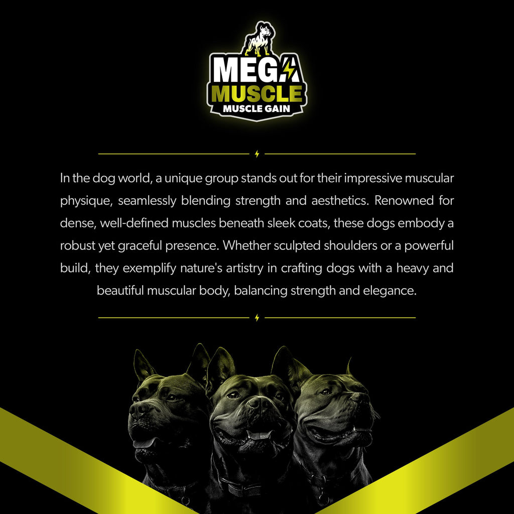 Chicken Flavor Dog Supplement R2523