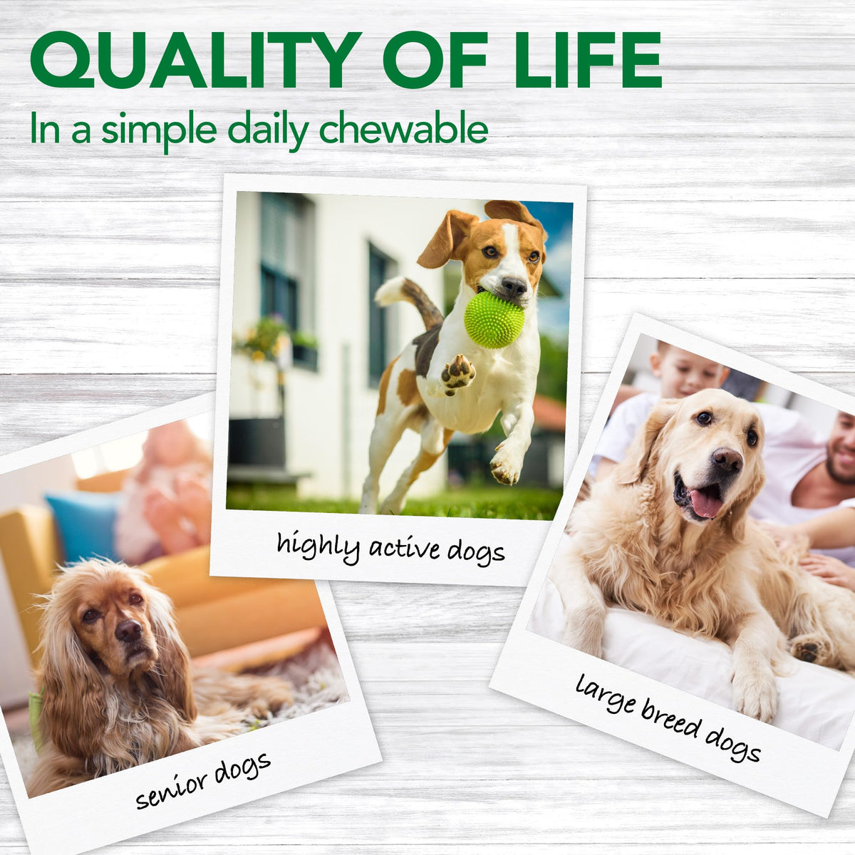 Dog Hip & Joint Support Tablets 150 Count Pack of 2 I410877