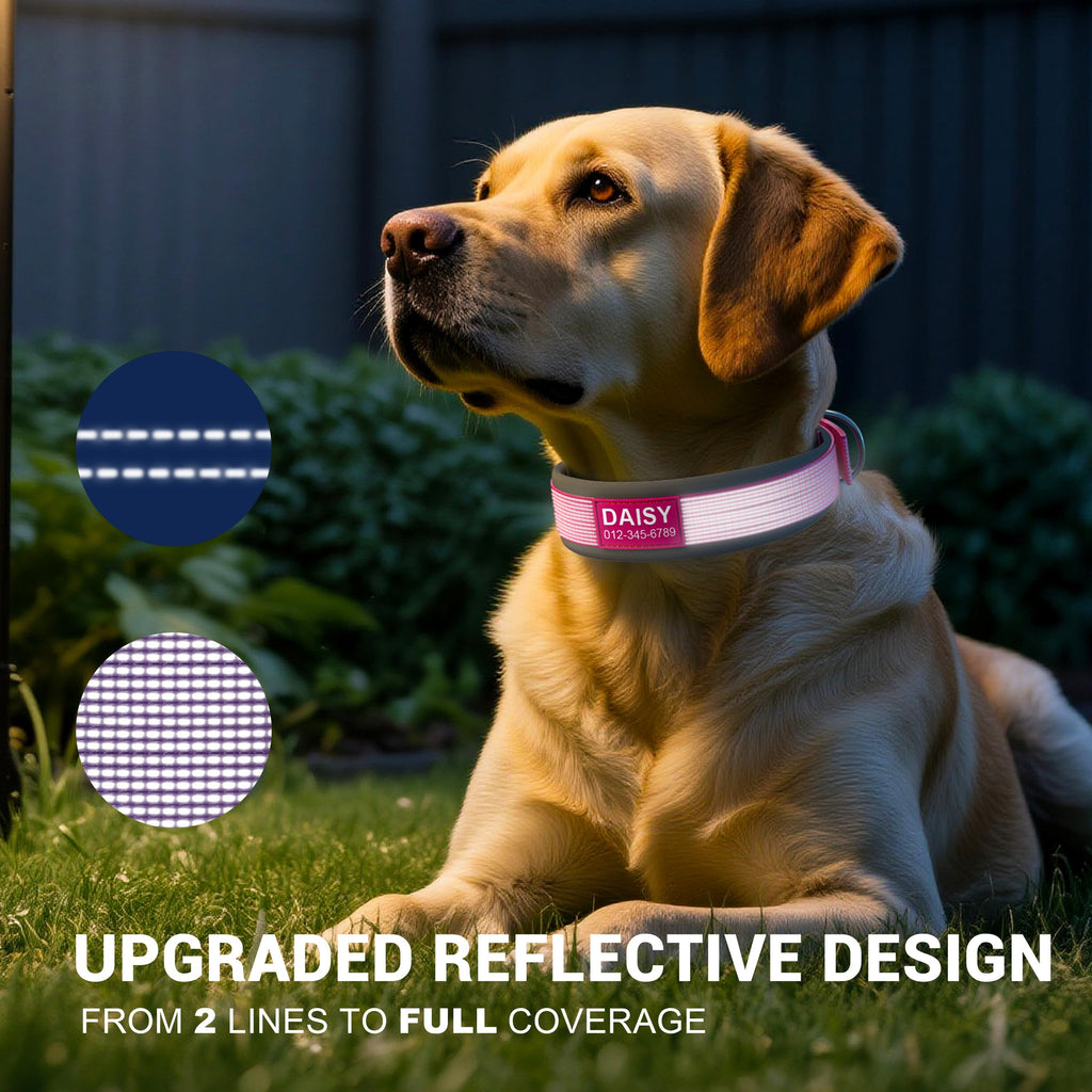 Personalized Reflective Dog Collar H652433