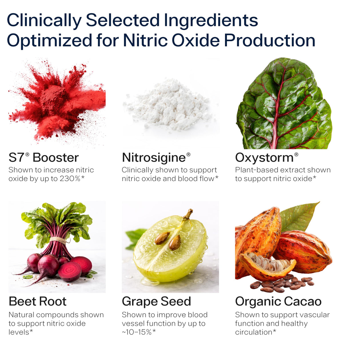 Nitric Oxide Supplement S397
