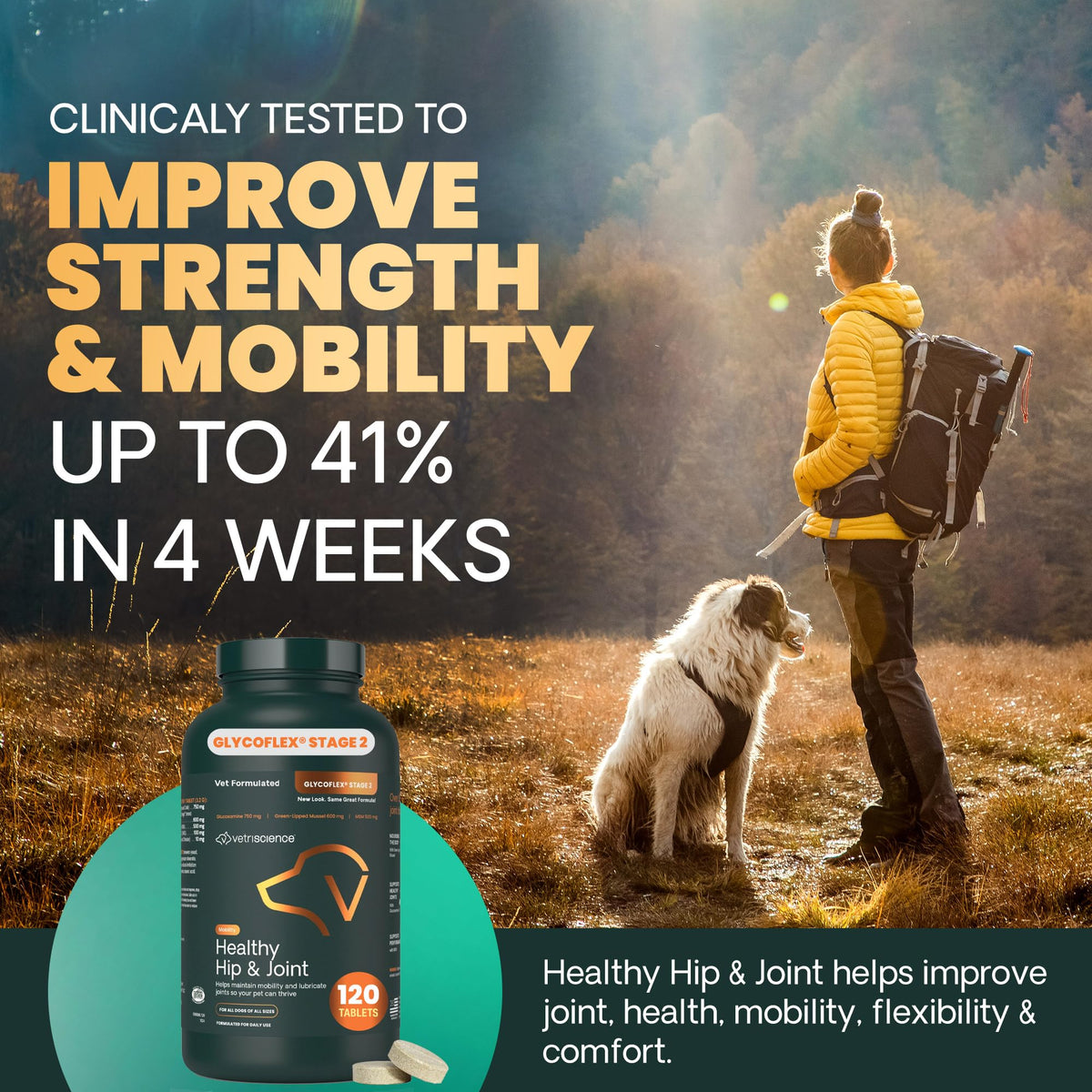 Chicken Hip & Joint Tablets for Dogs, 120 Count U576046