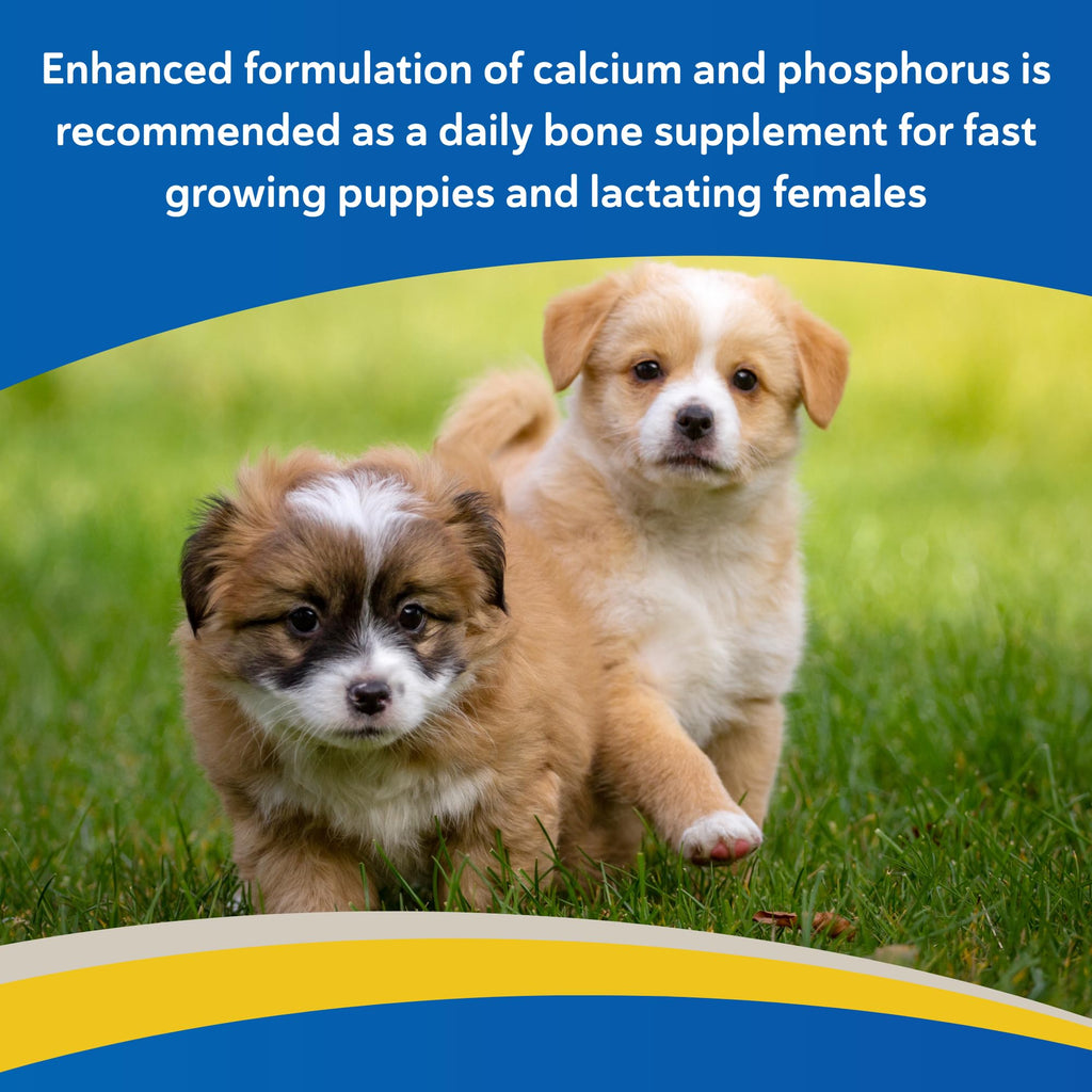 Calcium & Phosphorus Chews for Dogs & Cats, 100ct H2510