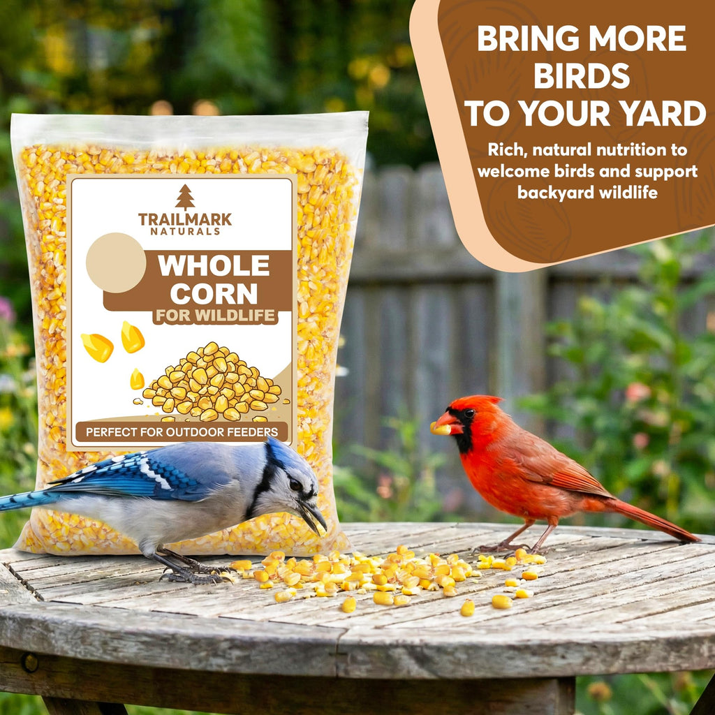 Whole Corn 20 LB Bird Seed & Wildlife Feed N3885
