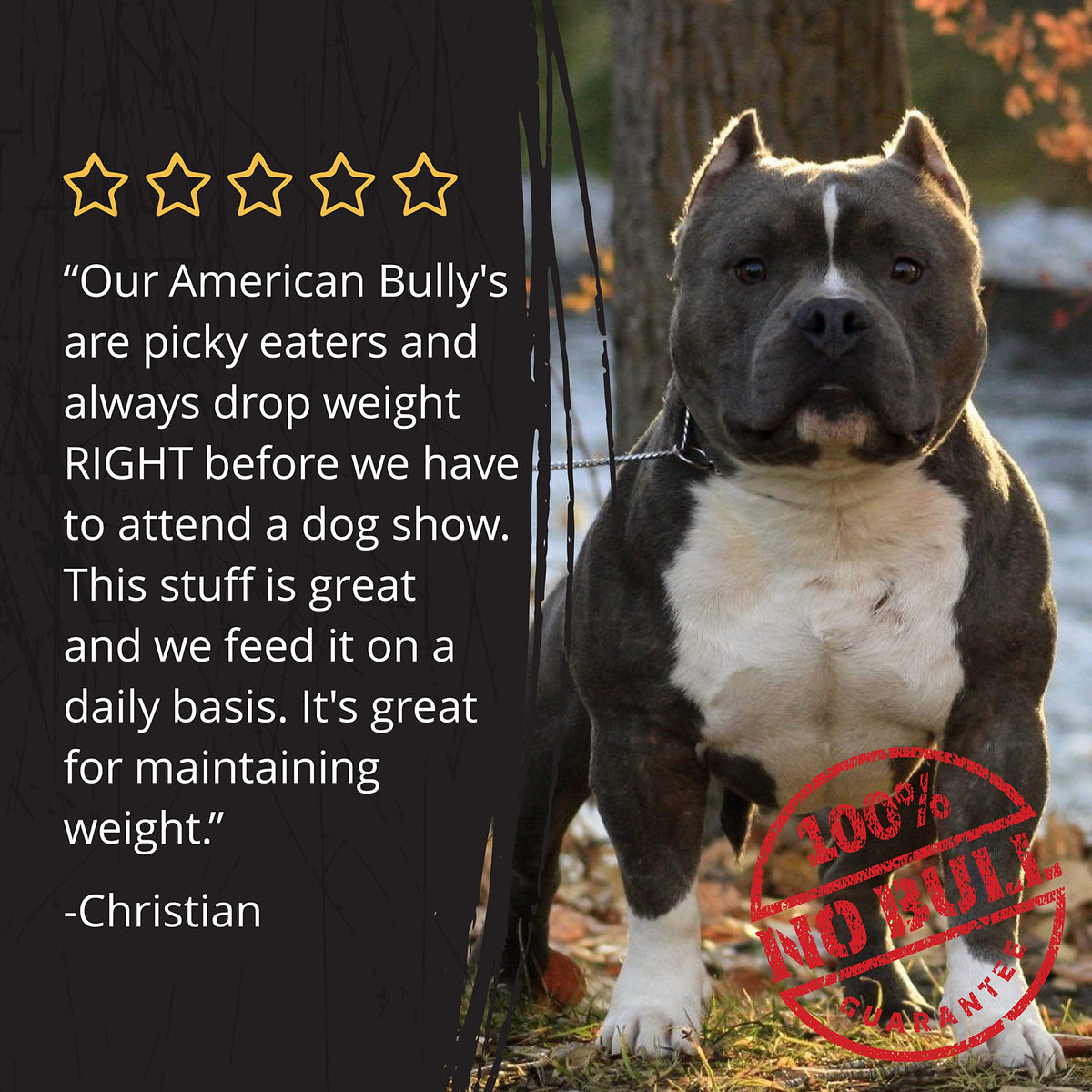 Dog Food Topper and Weight Gainer Q185