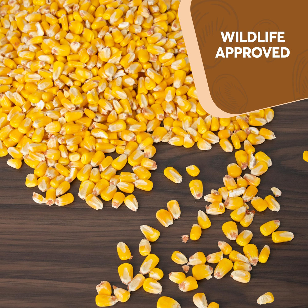 Whole Corn 20 LB Bird Seed & Wildlife Feed N3885