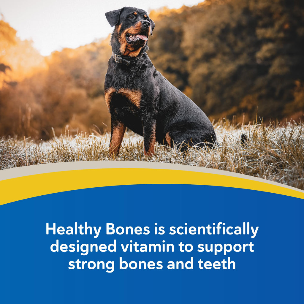 Calcium & Phosphorus Chews for Dogs & Cats, 100ct H2510