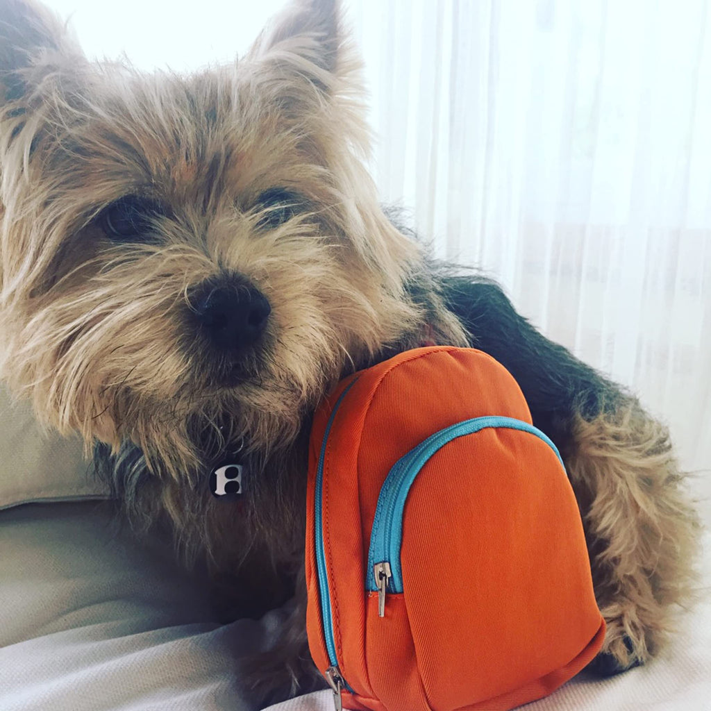 Orange Diabetic Supply Bag E281765