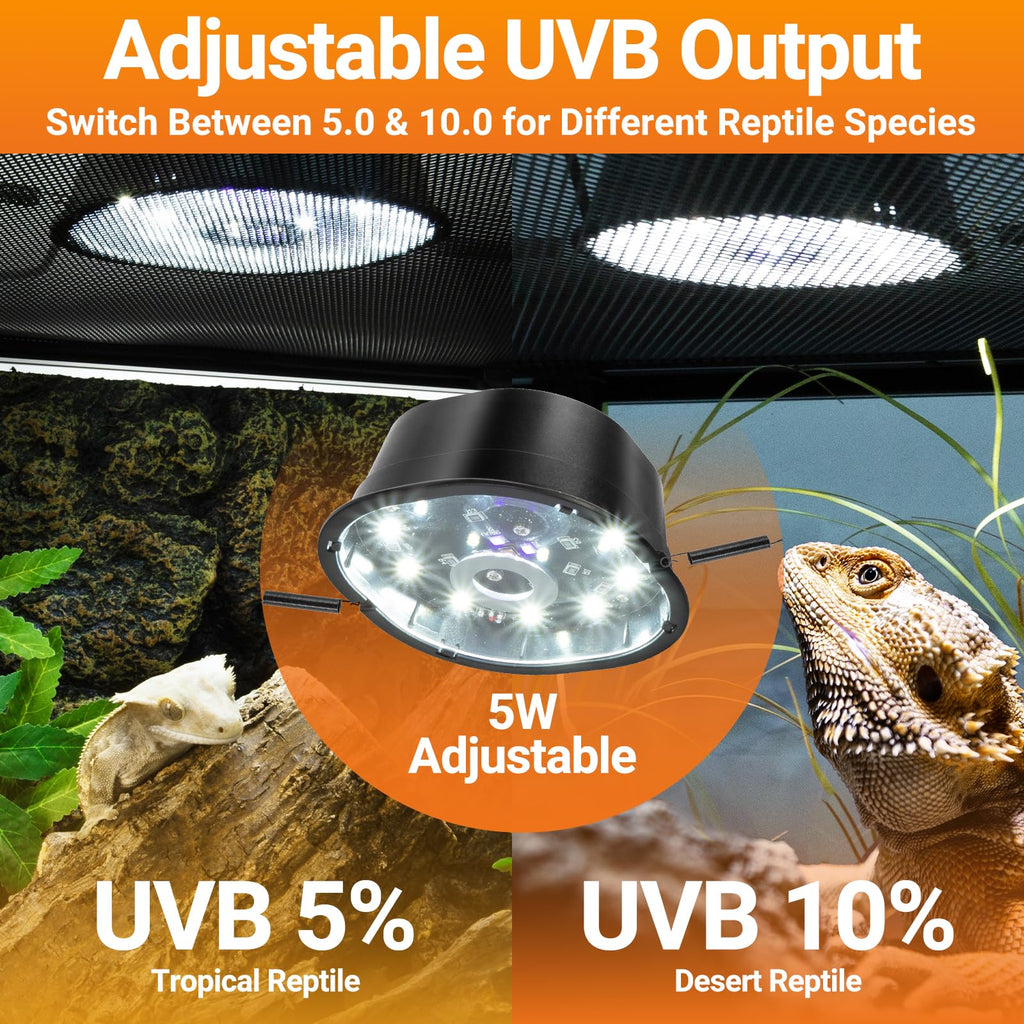 20 Gallon Reptile Terrarium Starter Kit with Heating System Thermostat UVB Light Hide Cave Feeding Dish C69496