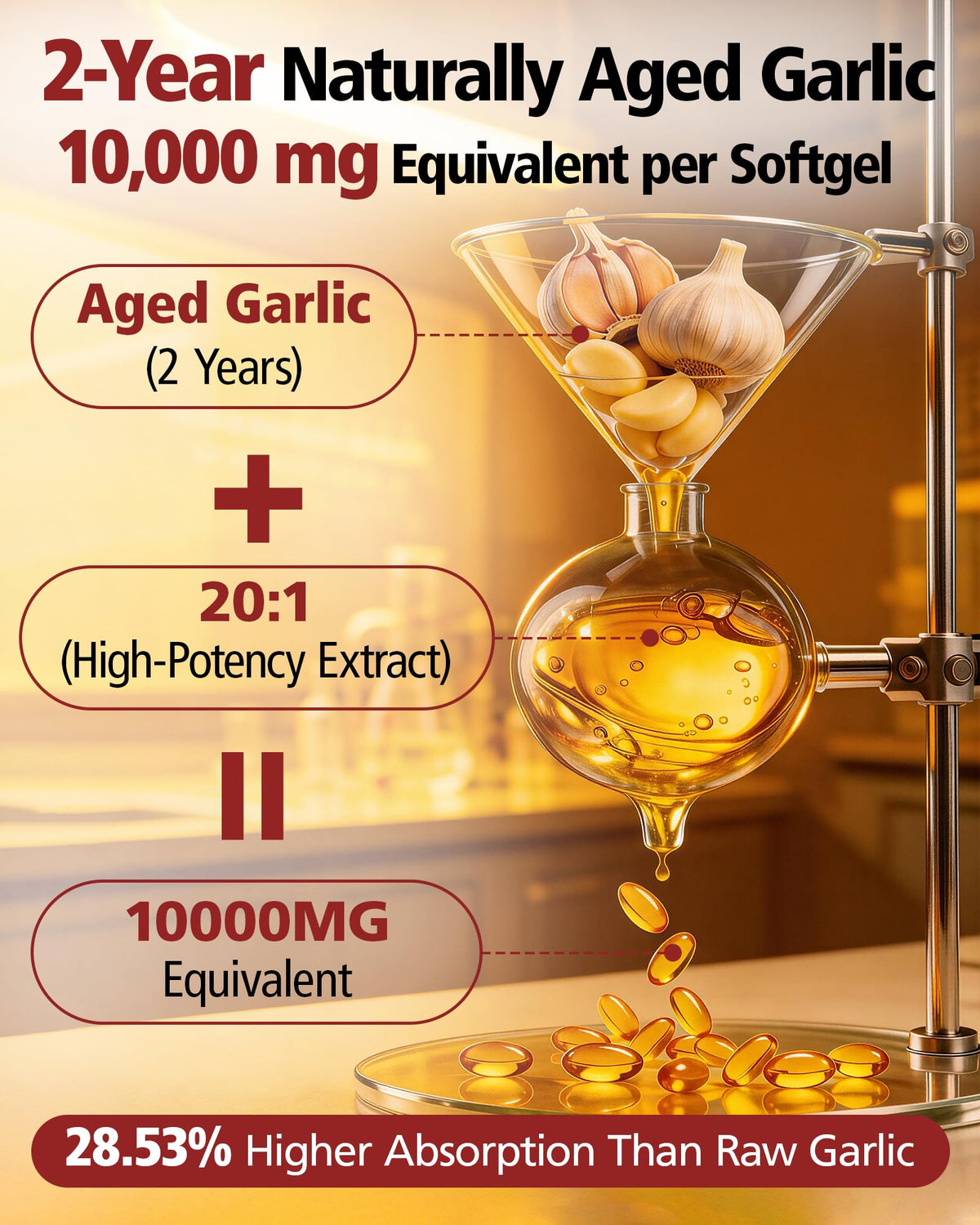 Aged Garlic Extract 10,000 mg 300 Softgels H8233