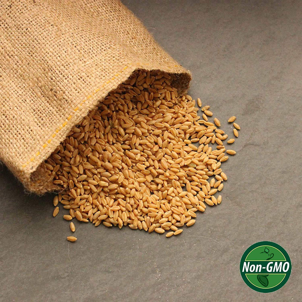 Organic Whole Wheat Kernels 2.5 Lb Non-GMO Hard White B5038
