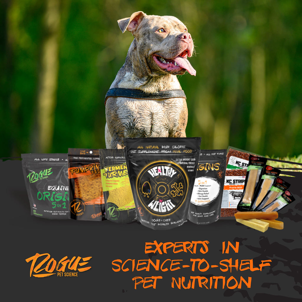 Dog Food Topper and Weight Gainer Q185