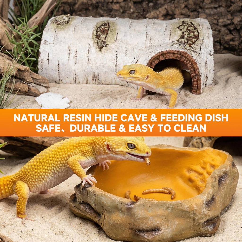 20 Gallon Reptile Terrarium Starter Kit with Heating System Thermostat UVB Light Hide Cave Feeding Dish C69496