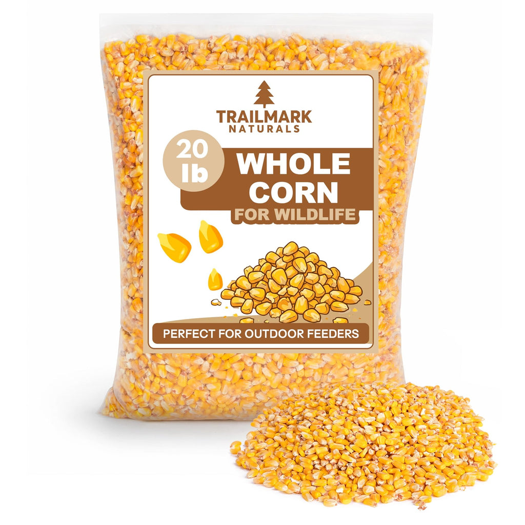 Whole Corn 20 LB Bird Seed & Wildlife Feed N3885