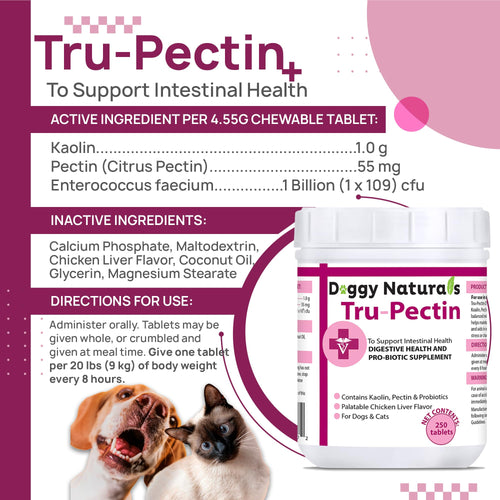 250 Tablets Chicken Liver Flavor Anti-Diarrheal for Dogs & Cats G94939