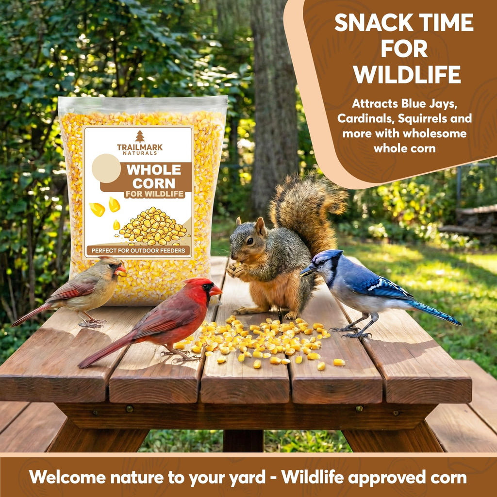 Whole Corn 20 LB Bird Seed & Wildlife Feed N3885