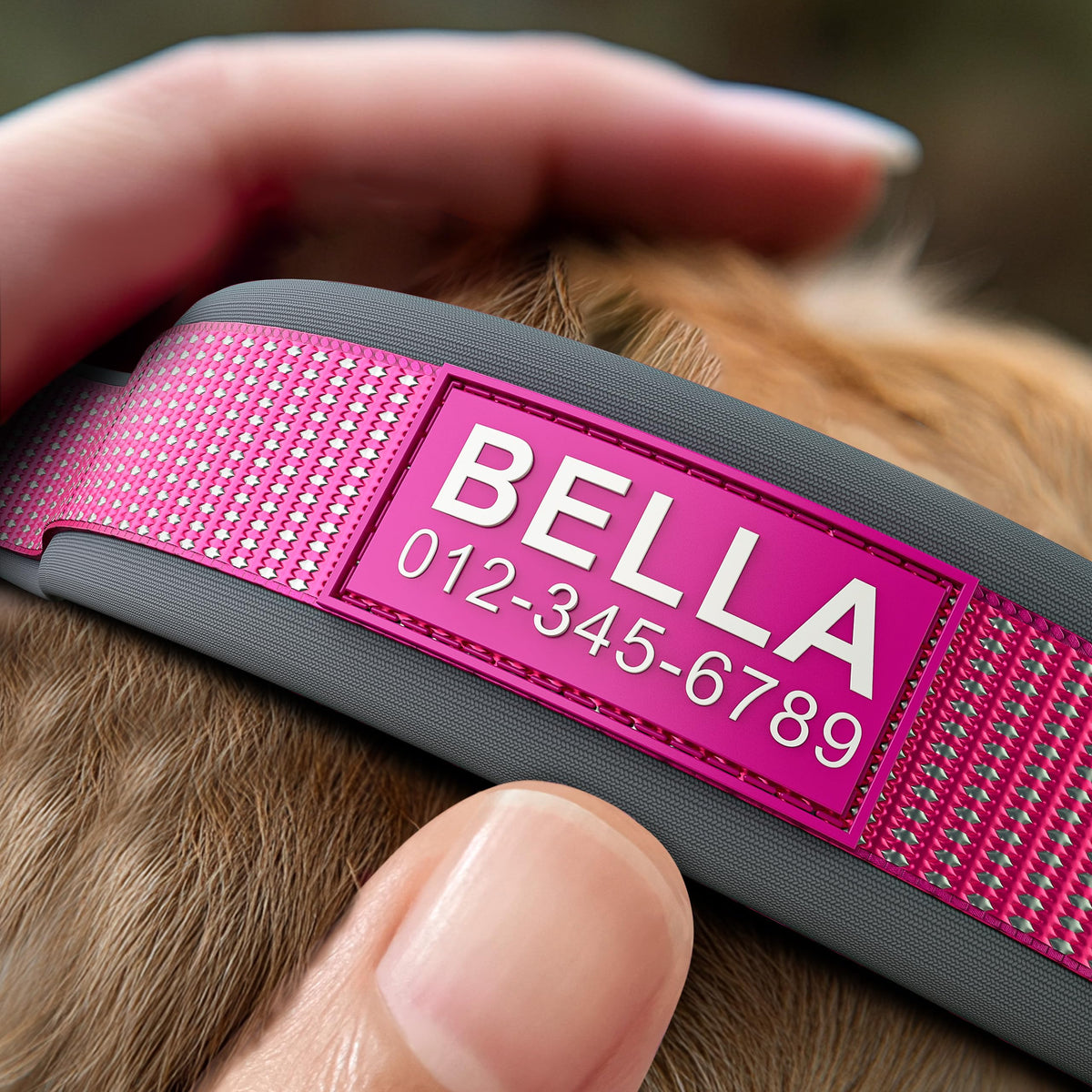 Personalized Reflective Dog Collar H652433