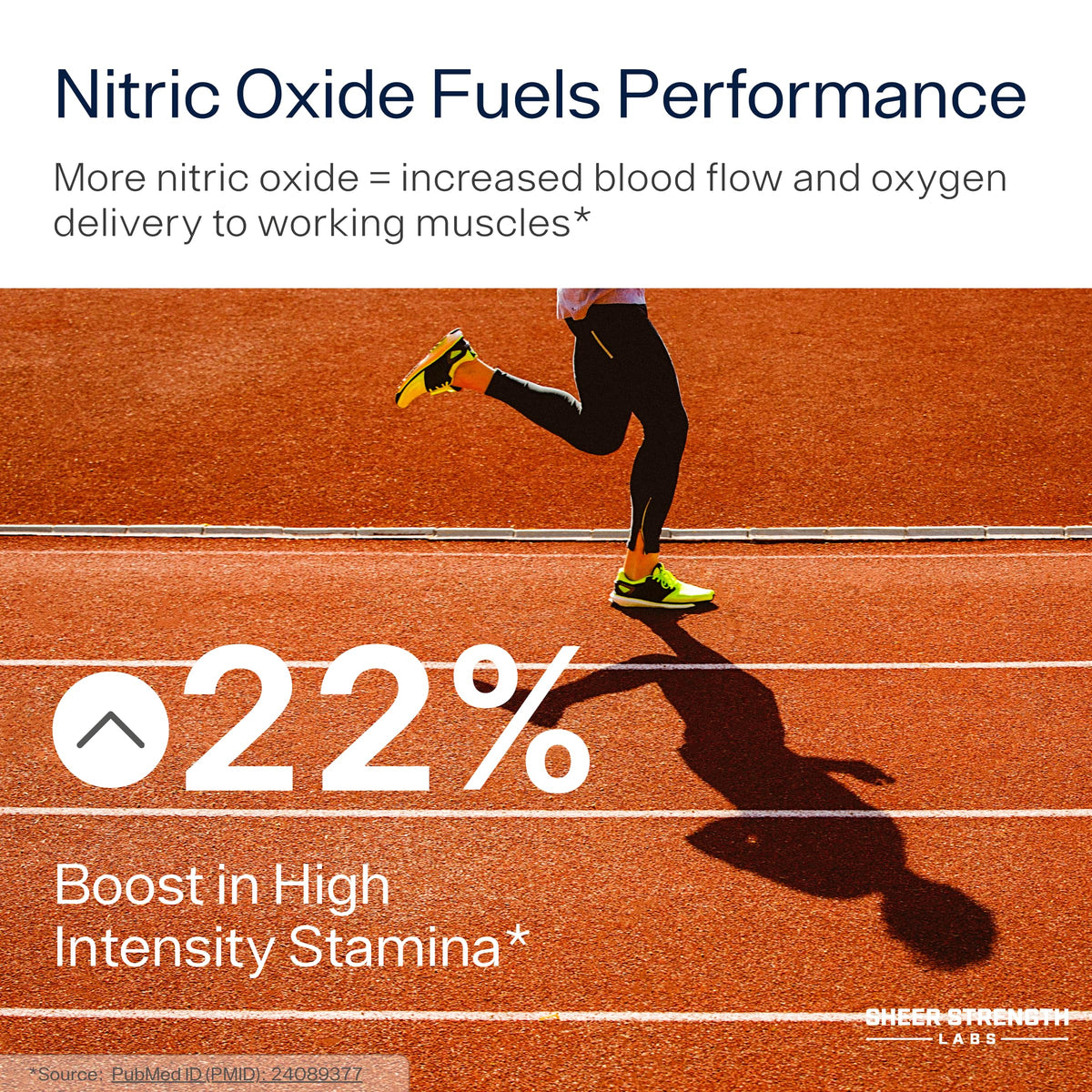 Nitric Oxide Supplement S397